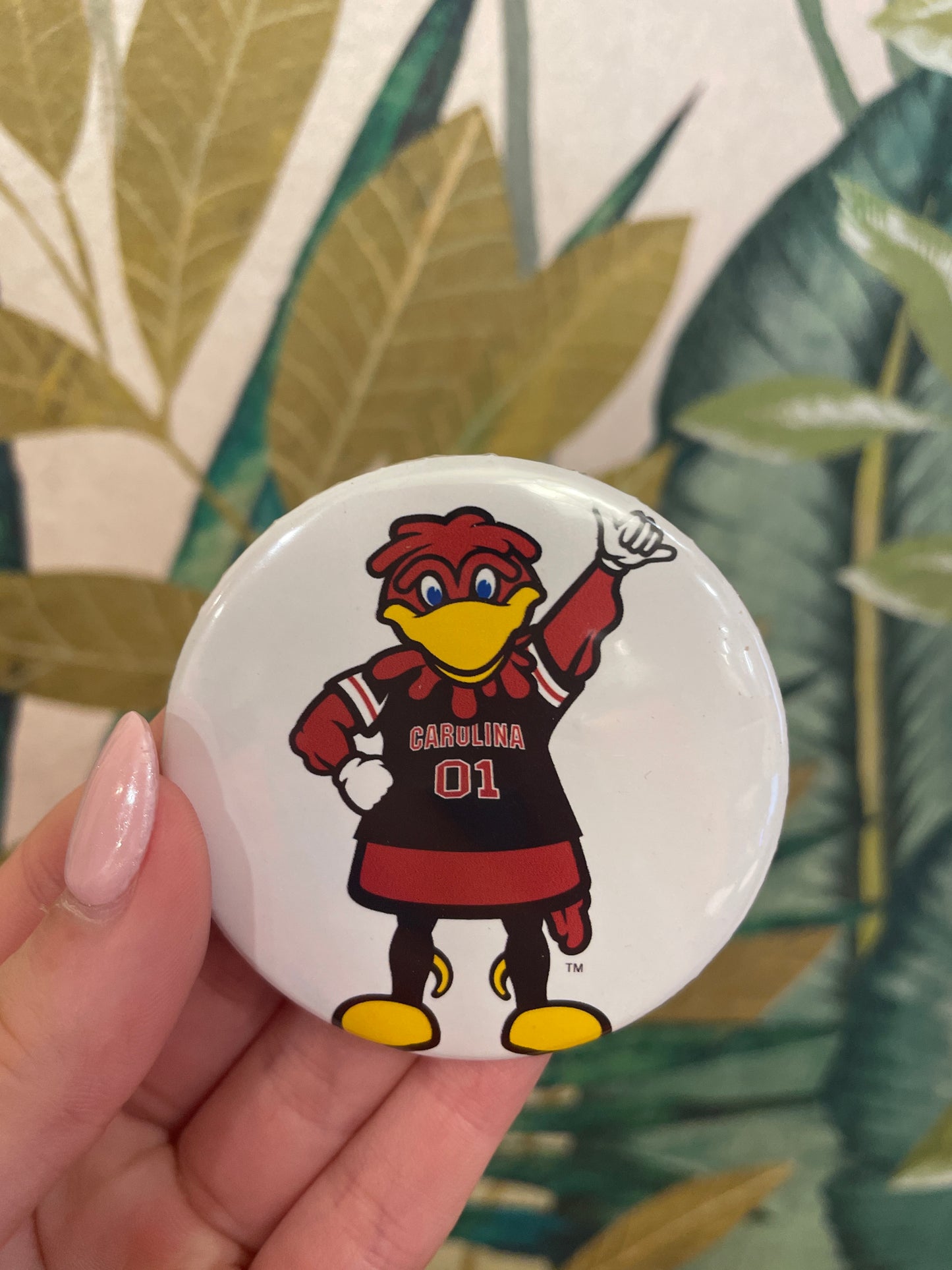 Waving Cocky Game Day Pin