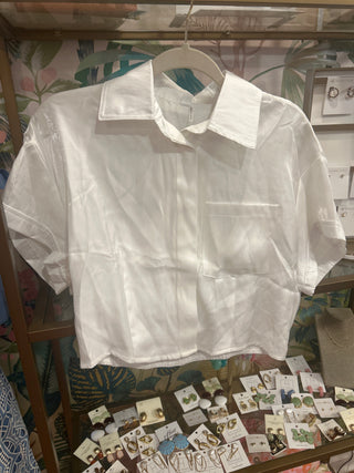 Collar Neck Short Sleeve Top
