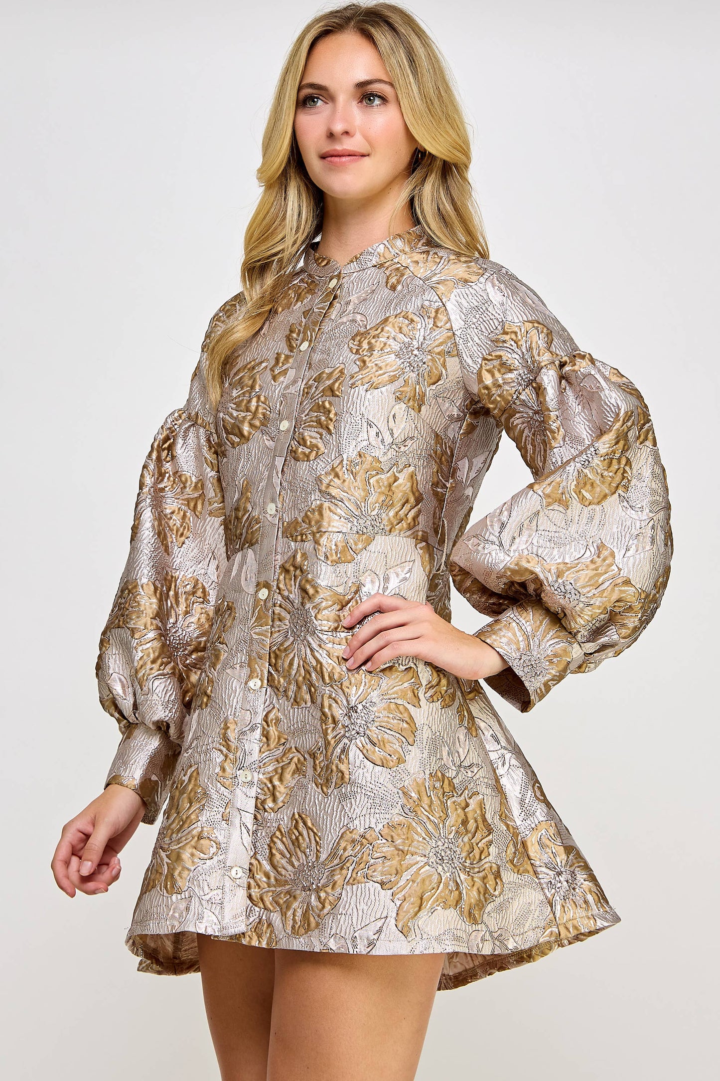 Long Sleeve Shimmer Jacquard Dress