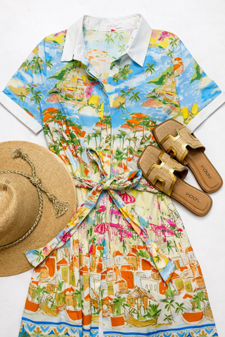 Seascape Button Front Tie Dress