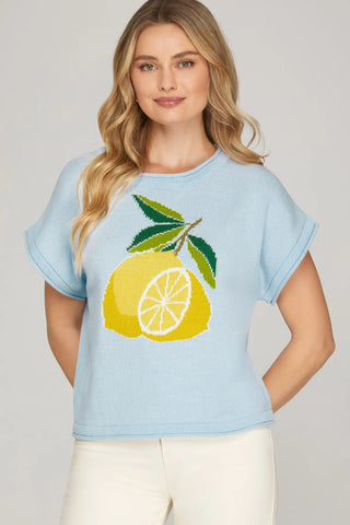 Light Blue Lemon Sweater Top