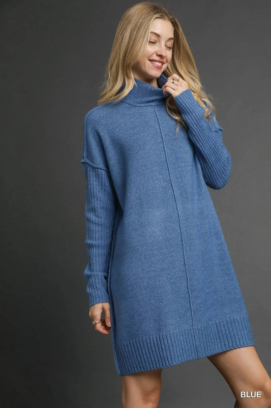 Cozy Knit Turtleneck Sweater Dress
