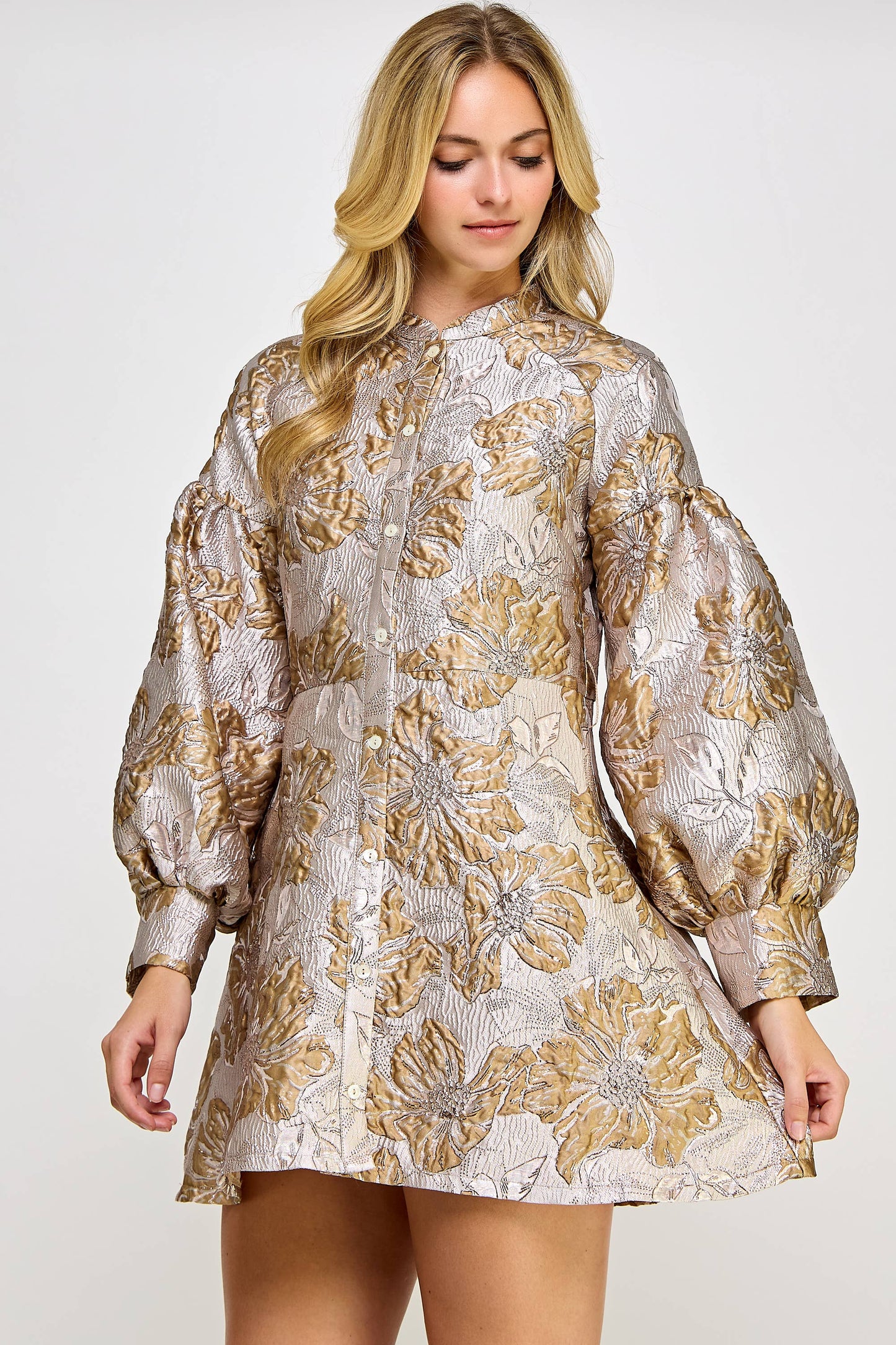 Long Sleeve Shimmer Jacquard Dress