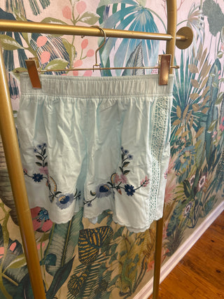 Sky Blue Embroidered Shorts
