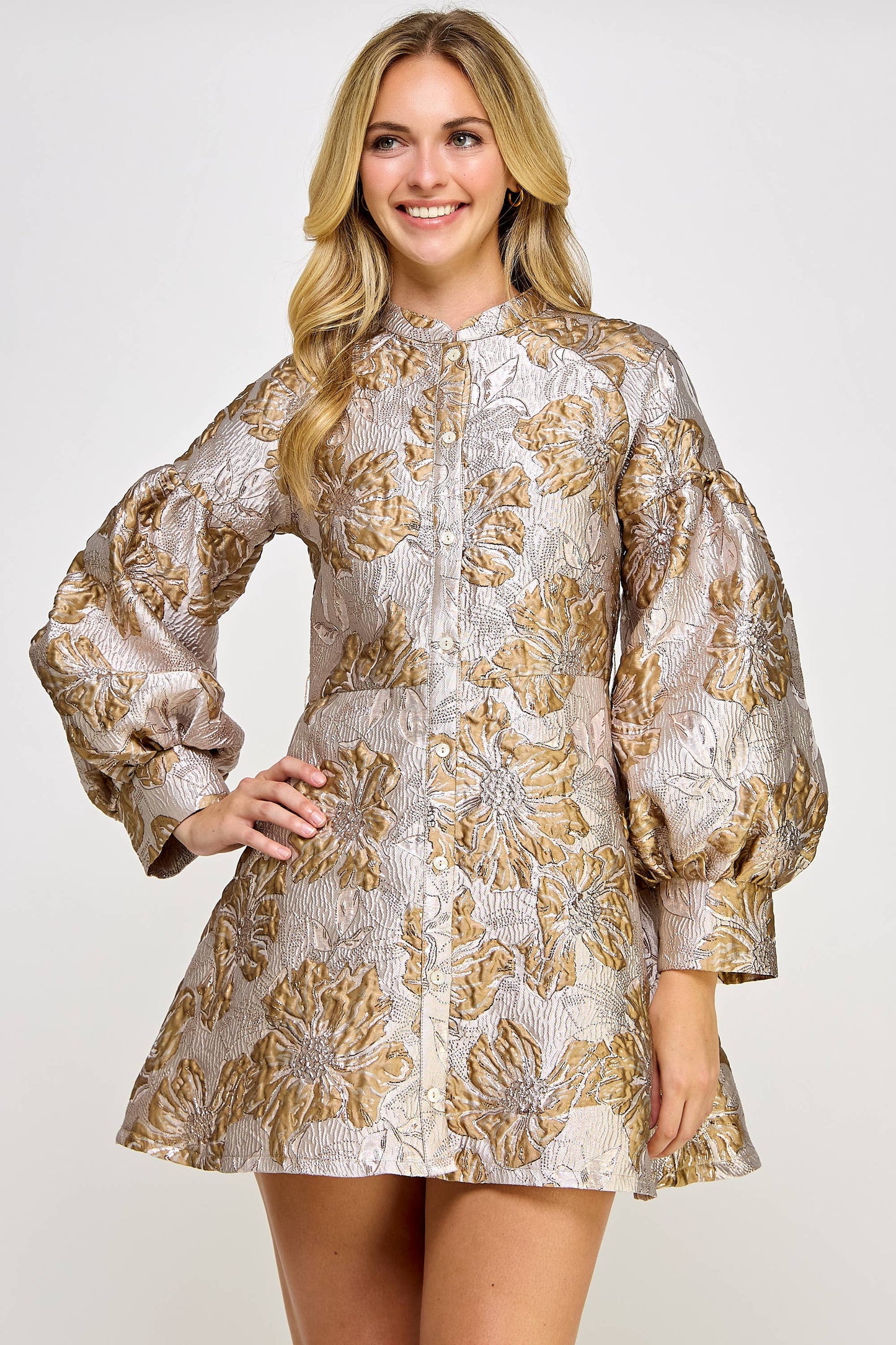 Long Sleeve Shimmer Jacquard Dress