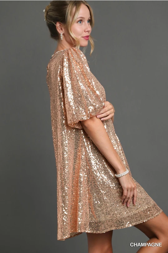 Sequin Puff Sleeve Dress