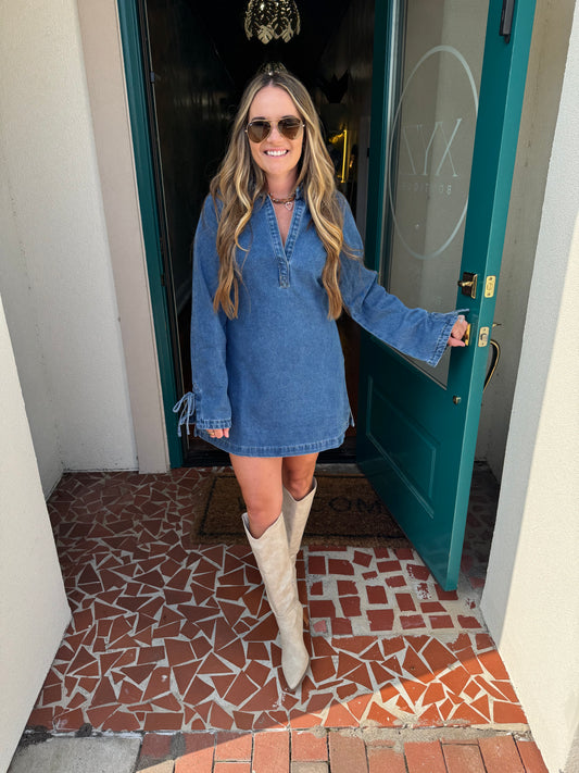 Denim Collared V Neck Dress