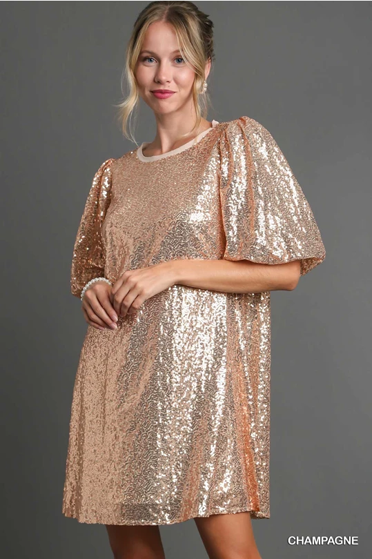 Sequin Puff Sleeve Dress