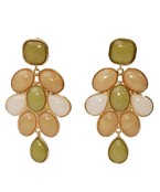 Kathryn Stone Earrings